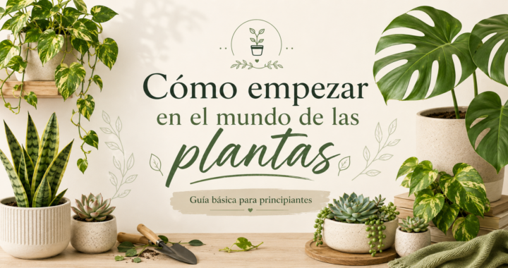 Cómo empezar en el mundo de las plantas
