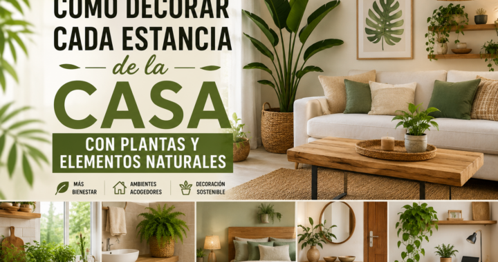 Cómo decorar cada estancia de la casa con plantas y elementos naturales