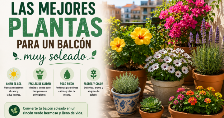 Las mejores plantas para un balcón muy soleado