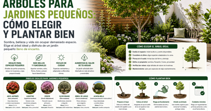Árboles para jardines pequeños: cómo elegir y plantar bien