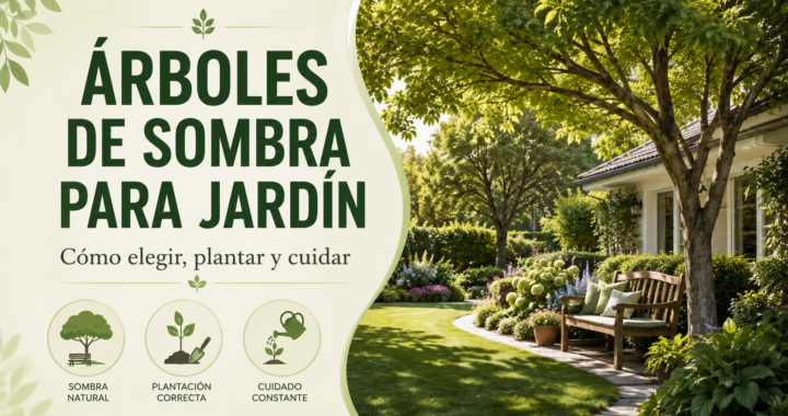Árboles de sombra para jardín: cómo elegir, plantar y cuidar